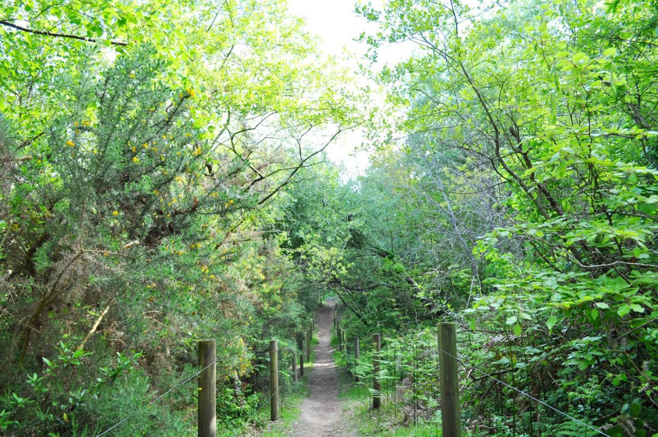 Camping Village Nature D'O Hillion Bagian luar foto